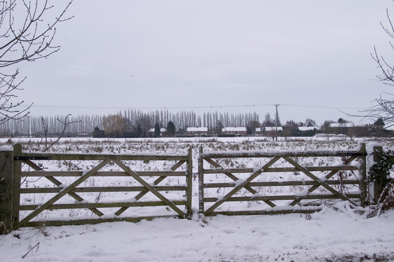 upwell091222_20